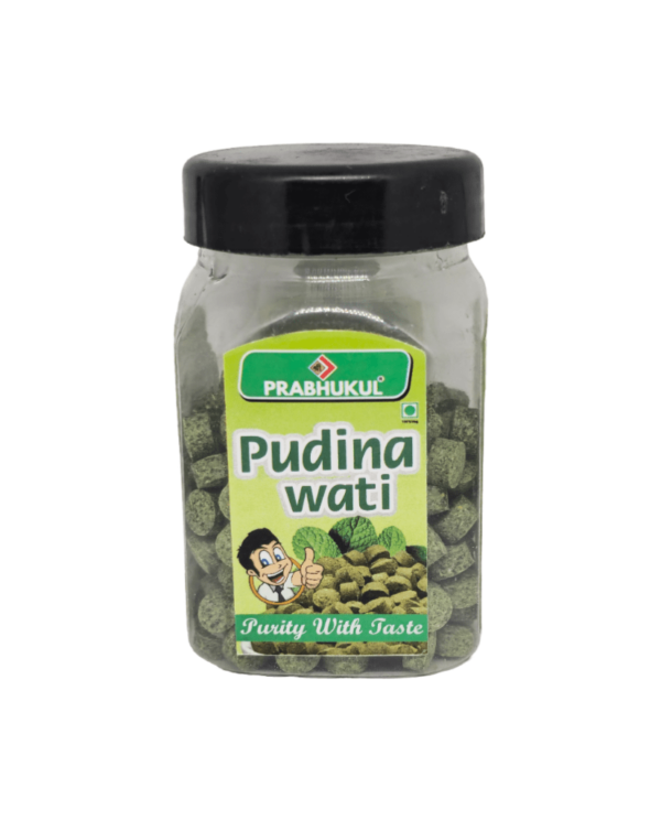 Pudina-Wati2